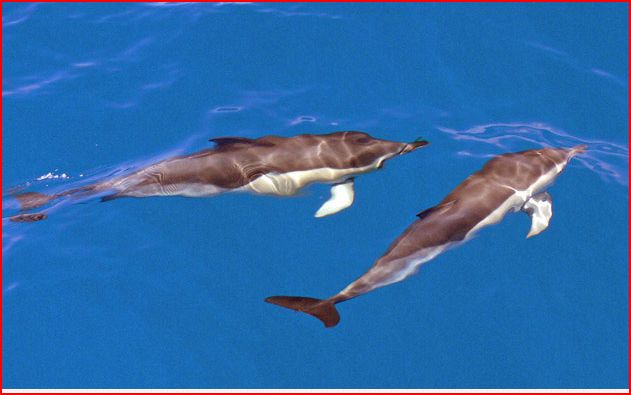 AR_08_acores_01.JPG