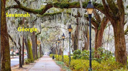 AR 21 gta etape 14 savannah