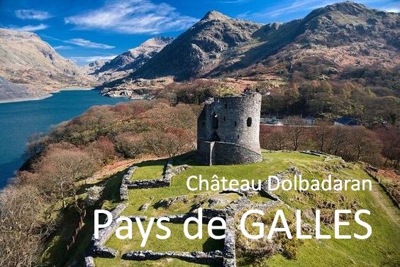 AR 21 pays galles dolbadaran 1
