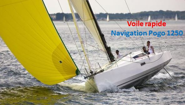 AR 21 voile rapide pogo 1250
