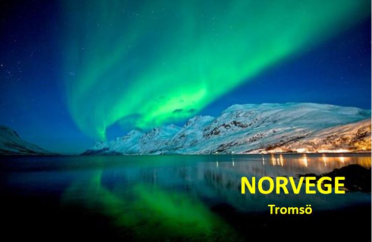 AR 22 norvege tromso
