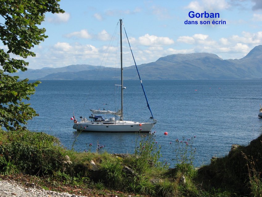 Gorban-Ecosse.JPG