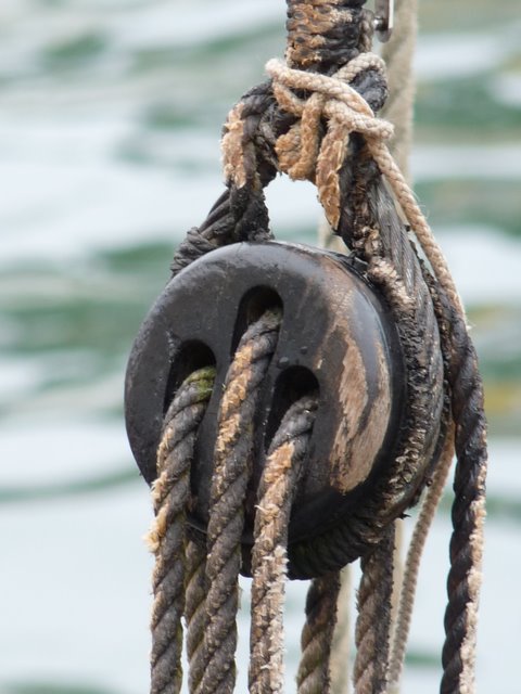 RE_09_Belle_ile_Belle_iloise_1.JPG