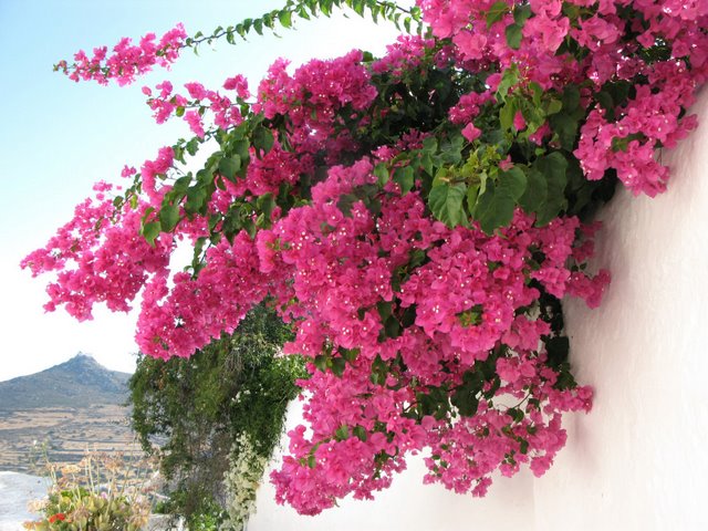 RE_09_Grece_14_Patmos.jpg