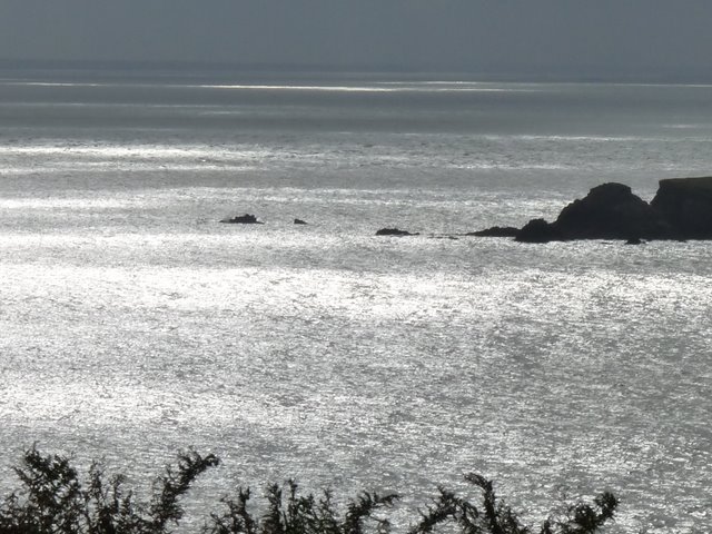 RE_09_Ouessant_cote_nord.JPG