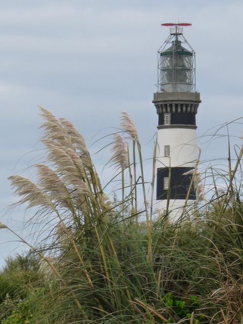 RE_09_Ouessant_creach_1.JPG